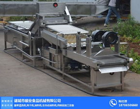 青椒清洗流水線(xiàn)哪家好 順業(yè)食品機(jī)械 黑龍江青椒清洗流水線(xiàn)